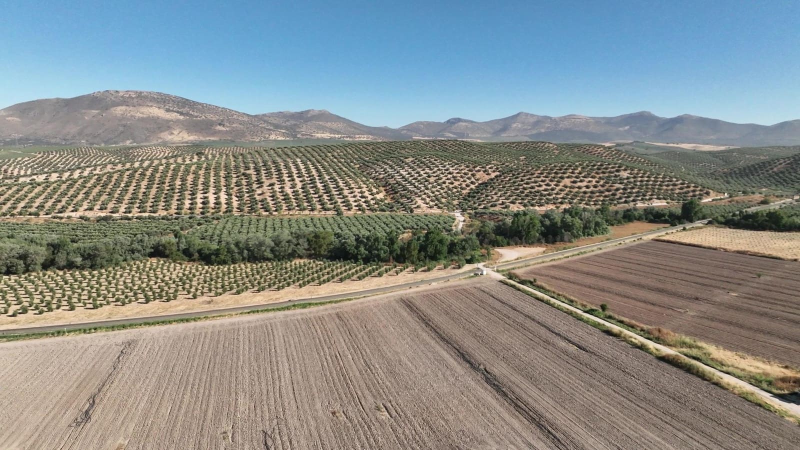 Undeveloped Land for sale in Albolote - € 1,250,000 (Ref: 8625116)