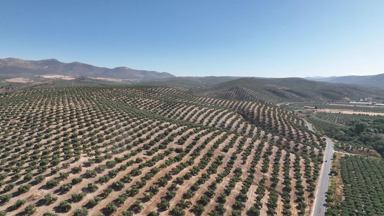 Undeveloped Land for sale in Albolote - € 1,250,000 (Ref: 8625116)