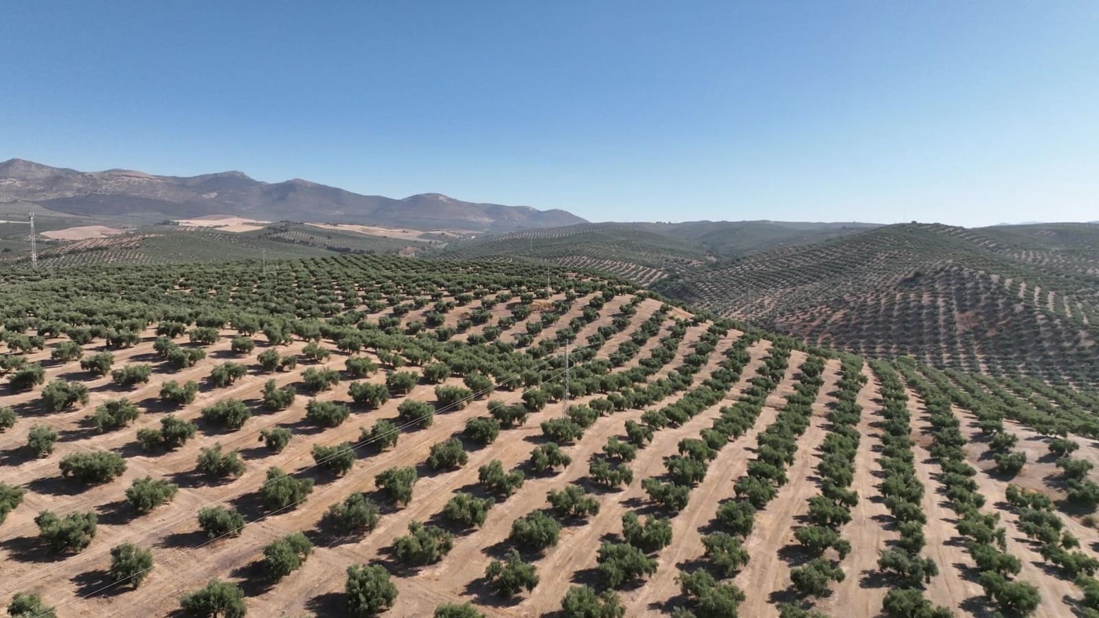 Undeveloped Land for sale in Albolote - € 1,250,000 (Ref: 8625116)