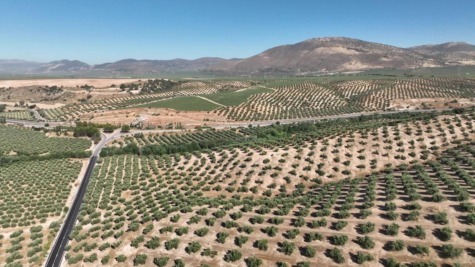 Undeveloped Land for sale in Albolote - € 1,250,000 (Ref: 8625116)