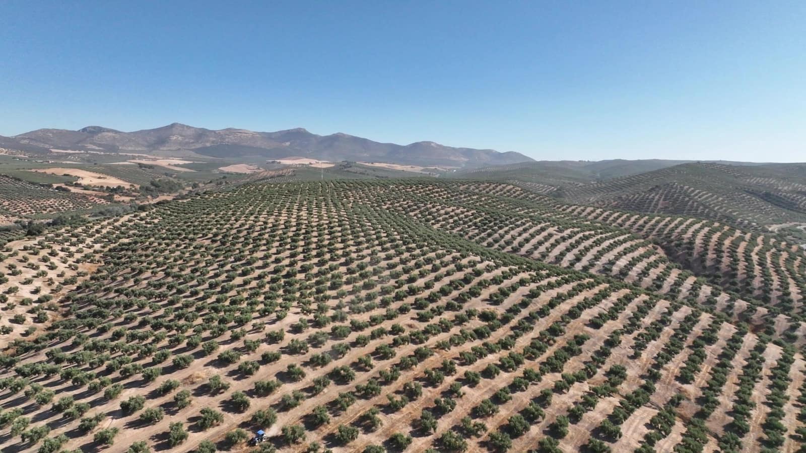 Undeveloped Land for sale in Albolote - € 1,250,000 (Ref: 8625116)