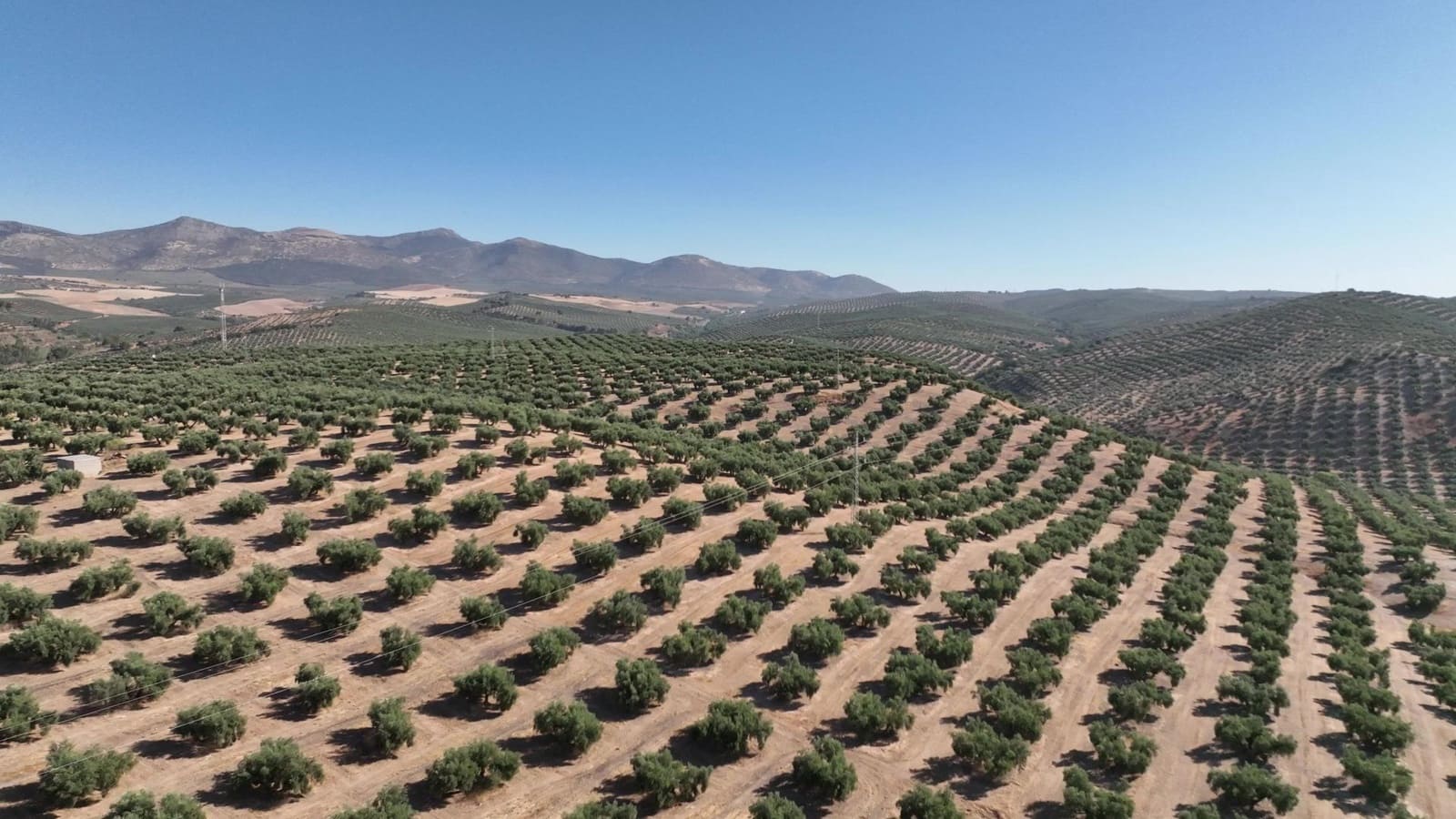 Undeveloped Land for sale in Albolote - € 1,250,000 (Ref: 8625116)