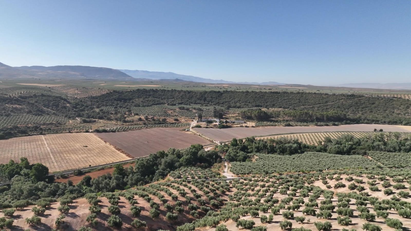 Undeveloped Land for sale in Albolote - € 1,250,000 (Ref: 8625116)