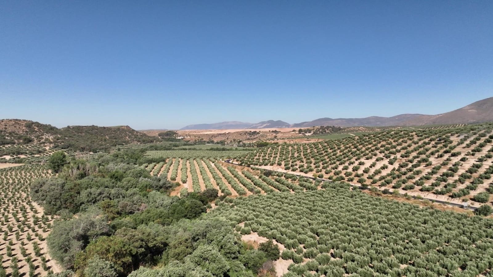 Undeveloped Land for sale in Albolote - € 1,250,000 (Ref: 8625116)