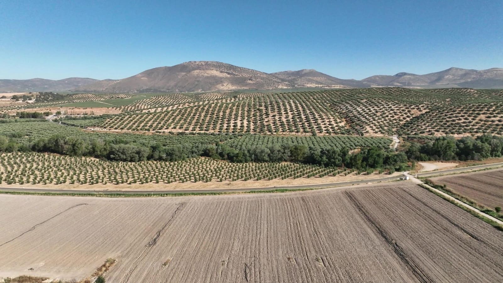 Undeveloped Land for sale in Albolote - € 1,250,000 (Ref: 8625116)