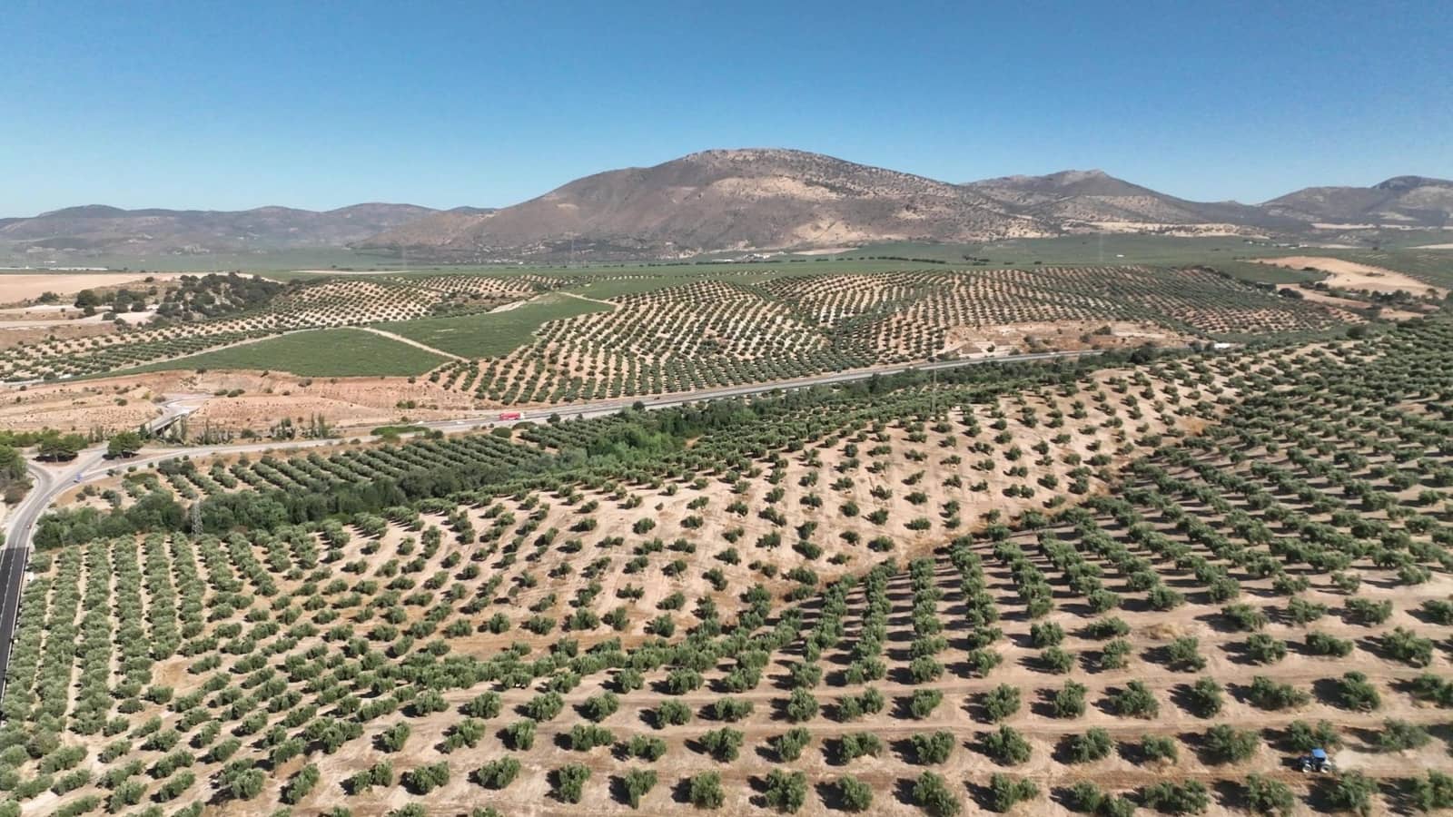 Undeveloped Land for sale in Albolote - € 1,250,000 (Ref: 8625116)