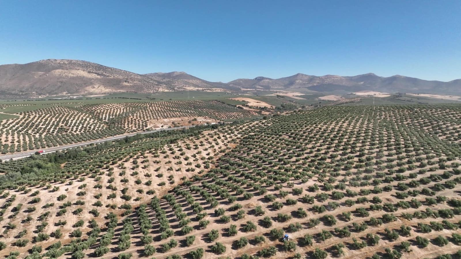 Undeveloped Land for sale in Albolote - € 1,250,000 (Ref: 8625116)