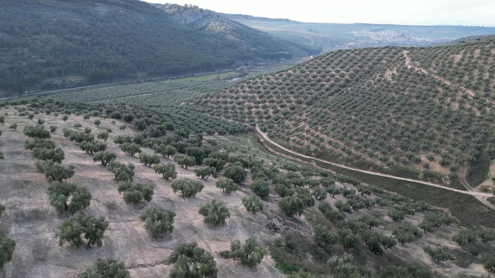 Ubebygd land til salgs i Iznalloz - € 2 950 000 (Ref: 8696558)