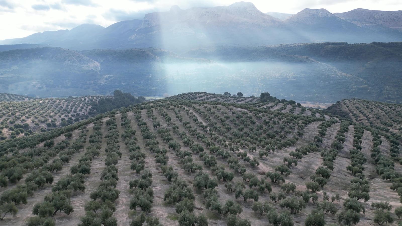 Ubebygd land til salgs i Iznalloz - € 2 950 000 (Ref: 8696558)