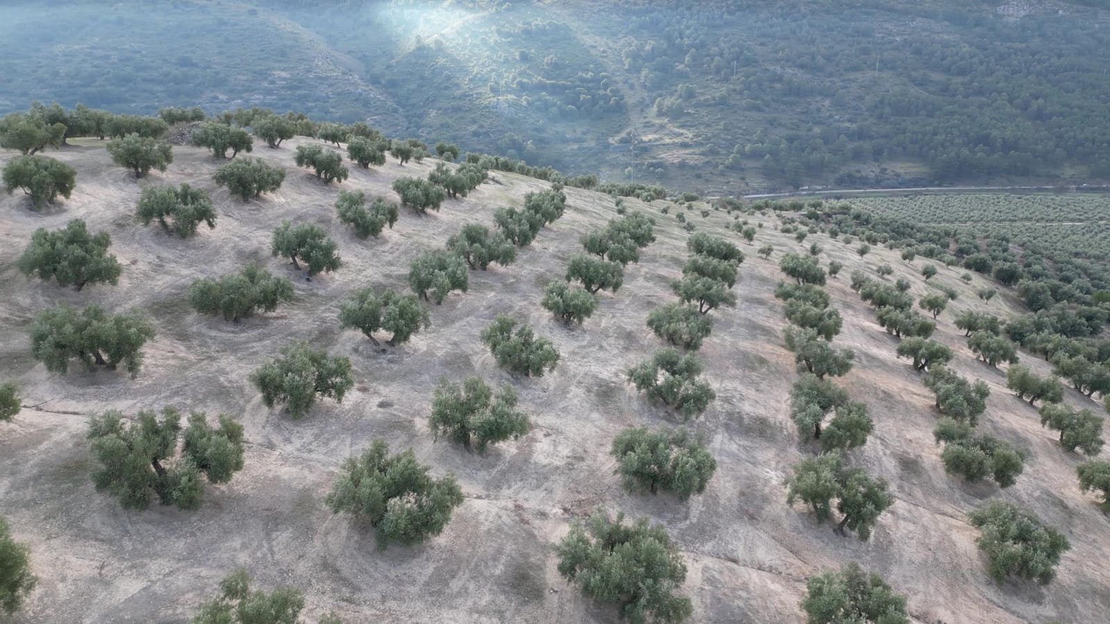 Ubebygd land til salgs i Iznalloz - € 2 950 000 (Ref: 8696558)