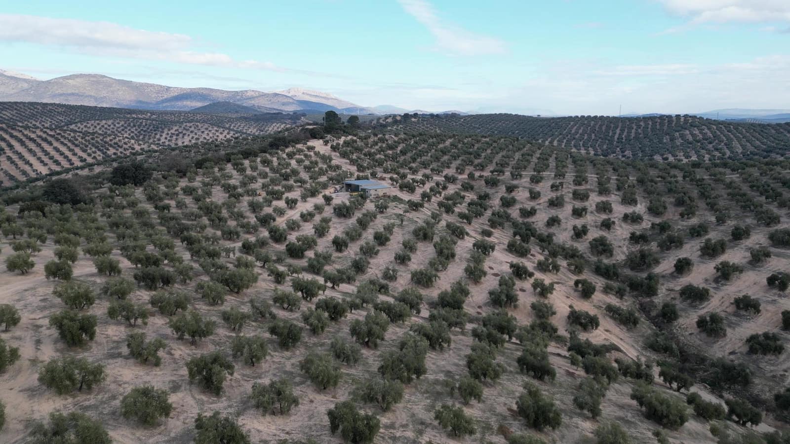 Ubebygd land til salgs i Iznalloz - € 2 950 000 (Ref: 8696558)