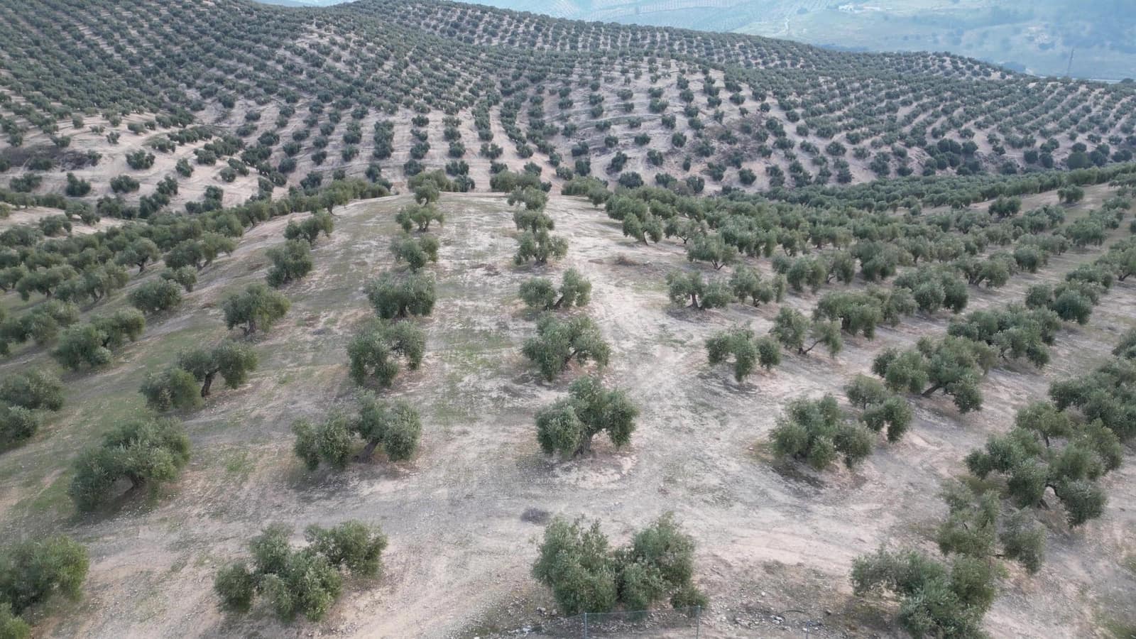 Ubebygd land til salgs i Iznalloz - € 2 950 000 (Ref: 8696558)