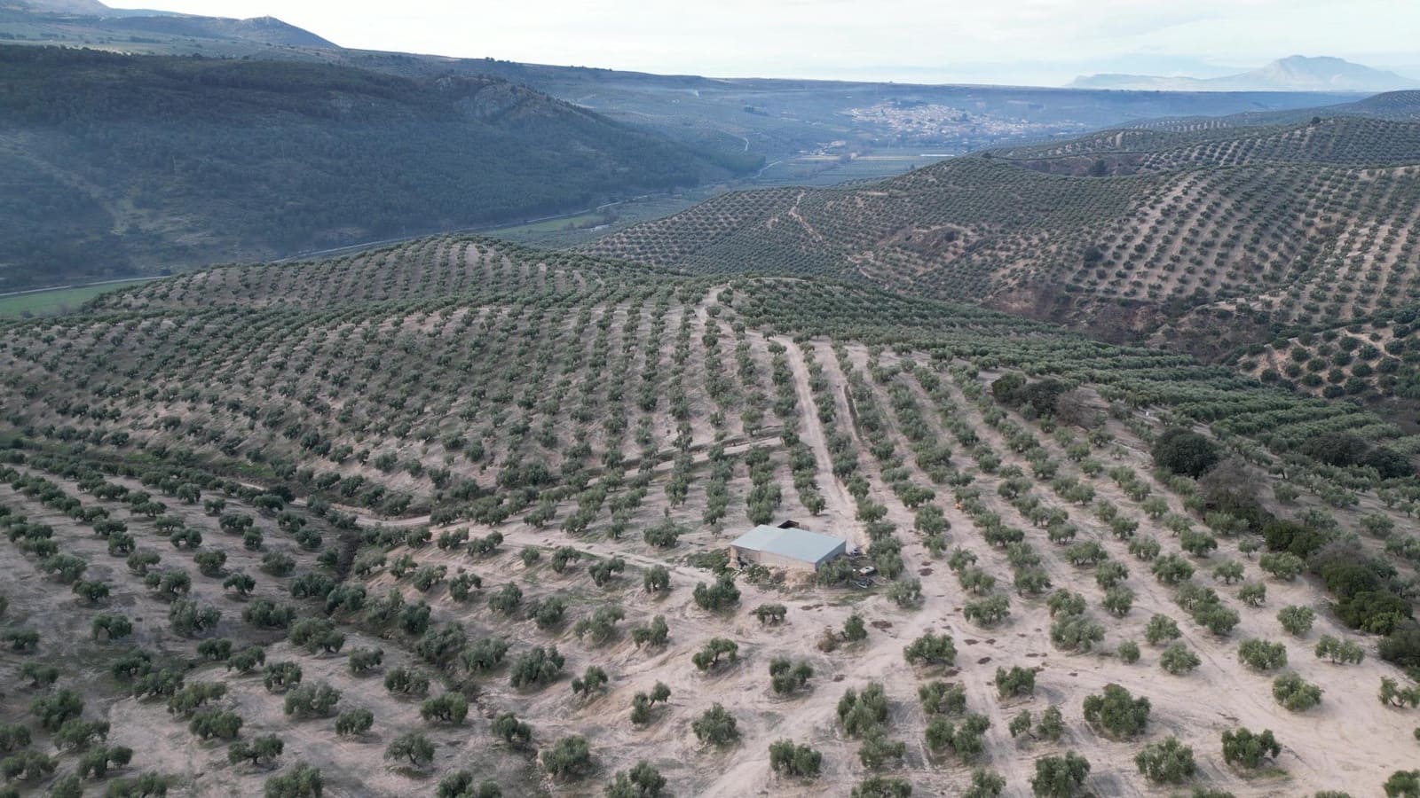 Ubebygd land til salgs i Iznalloz - € 2 950 000 (Ref: 8696558)