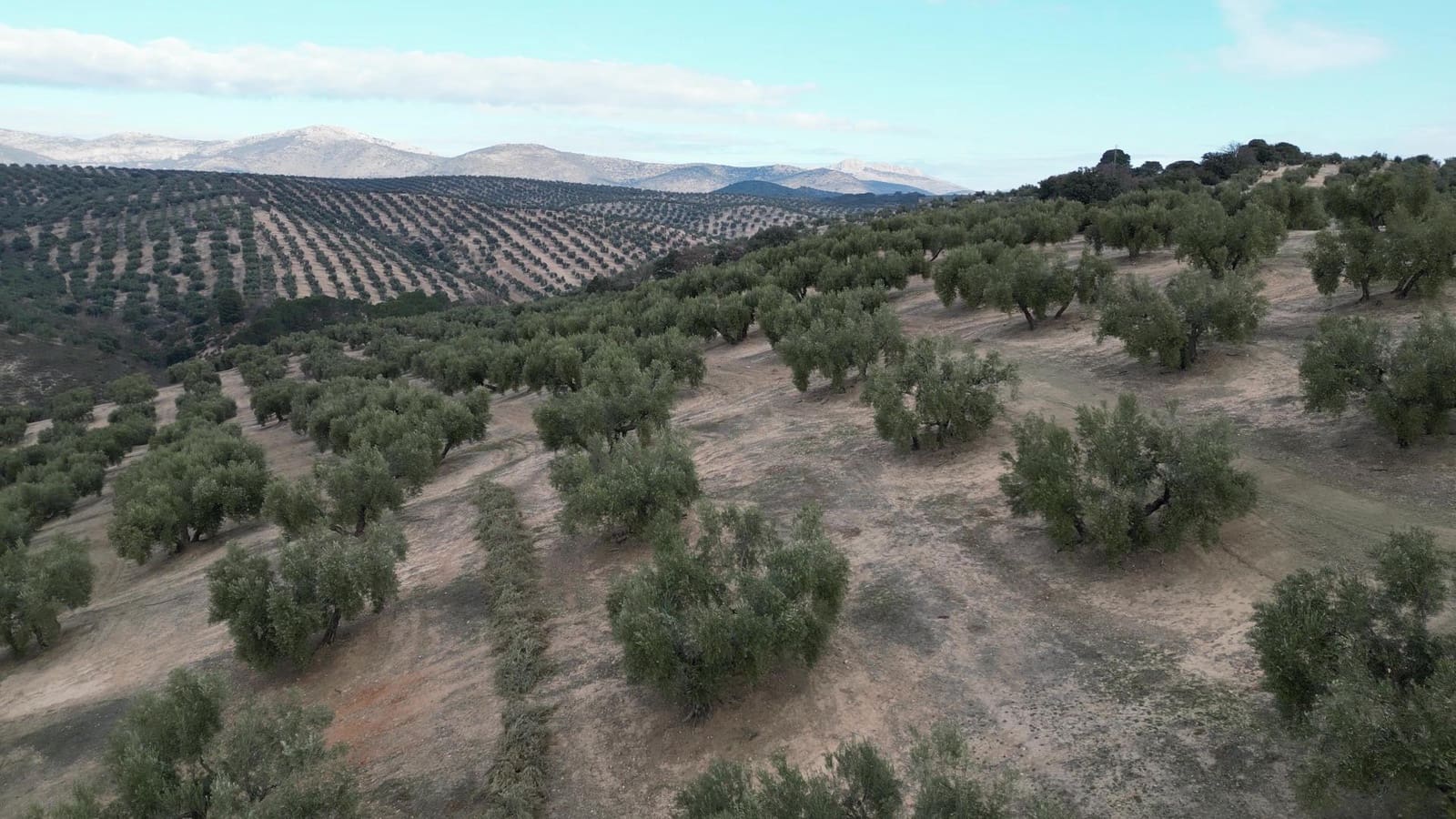 Ubebygd land til salgs i Iznalloz - € 2 950 000 (Ref: 8696558)