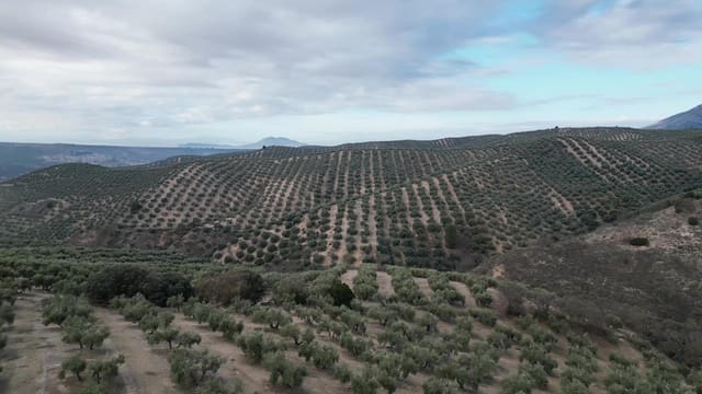 Undeveloped Land for sale in Iznalloz - € 2,950,000 (Ref: 8696558)