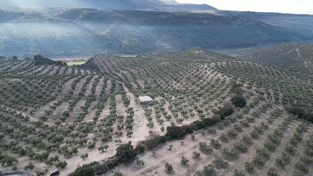 Undeveloped Land for sale in Iznalloz - € 2,950,000 (Ref: 8696558)