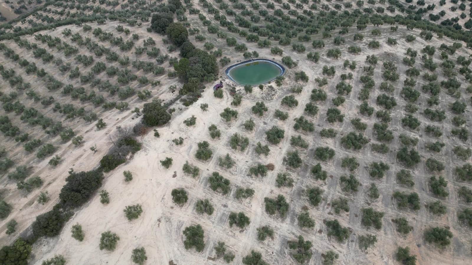 Mark till salu i Iznalloz - 2 920 000 € (Ref: 8696558)