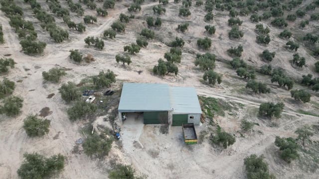 Landgrundstück zu verkaufen in Iznalloz - 2.920.000 € (Ref: 8696558)