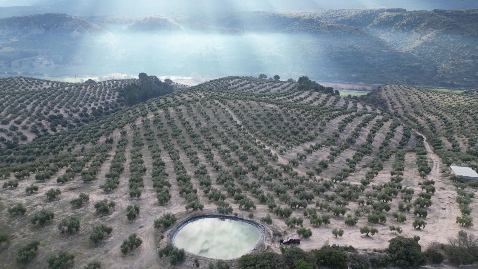 Undeveloped Land for sale in Iznalloz - € 2,920,000 (Ref: 8696558)