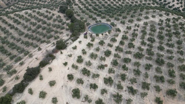 Terreno/Finca Rústica en Iznalloz en venta - 2.920.000 € (Ref: 8696558)