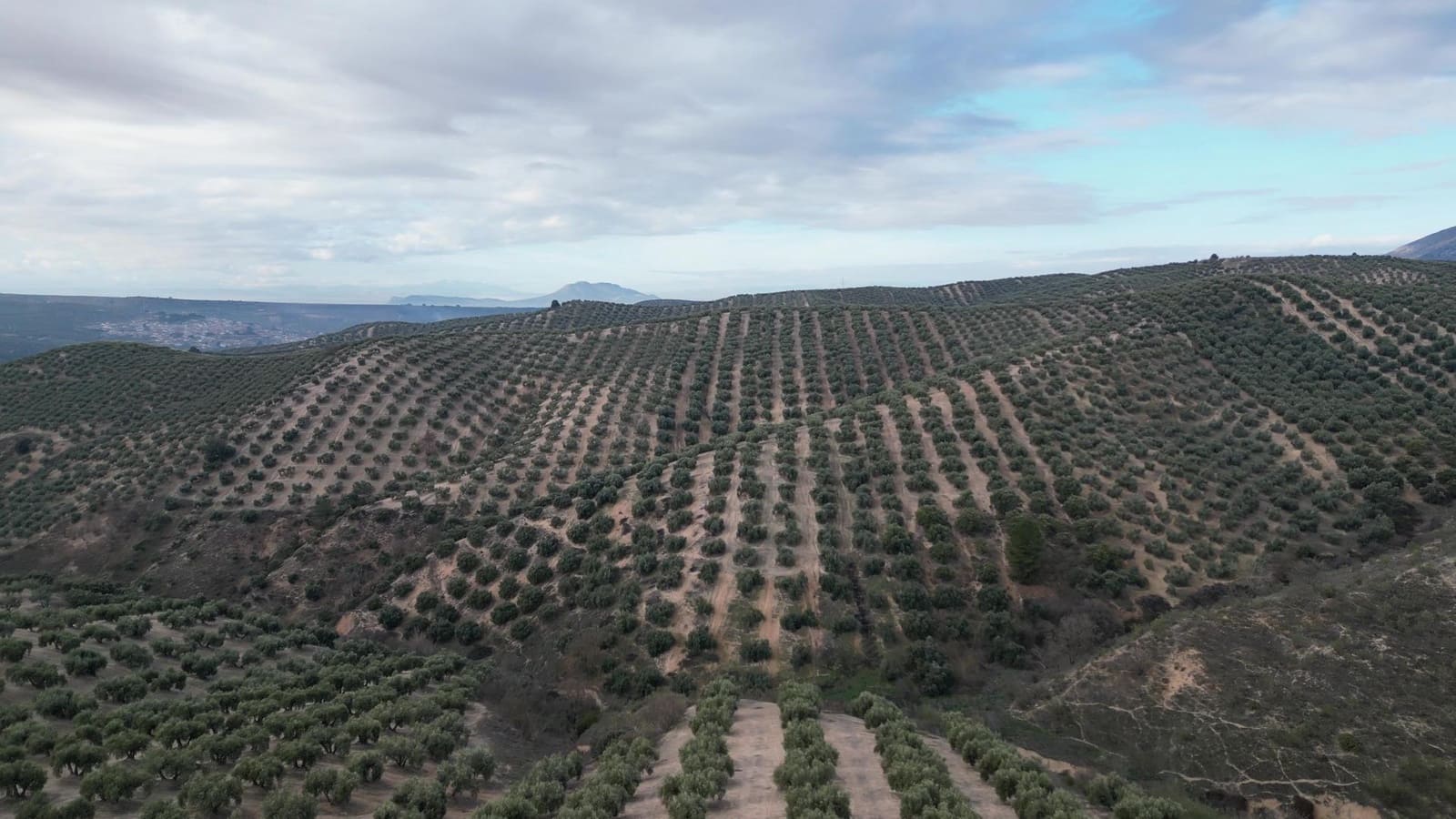 Undeveloped Land for sale in Iznalloz - € 2,920,000 (Ref: 8696558)