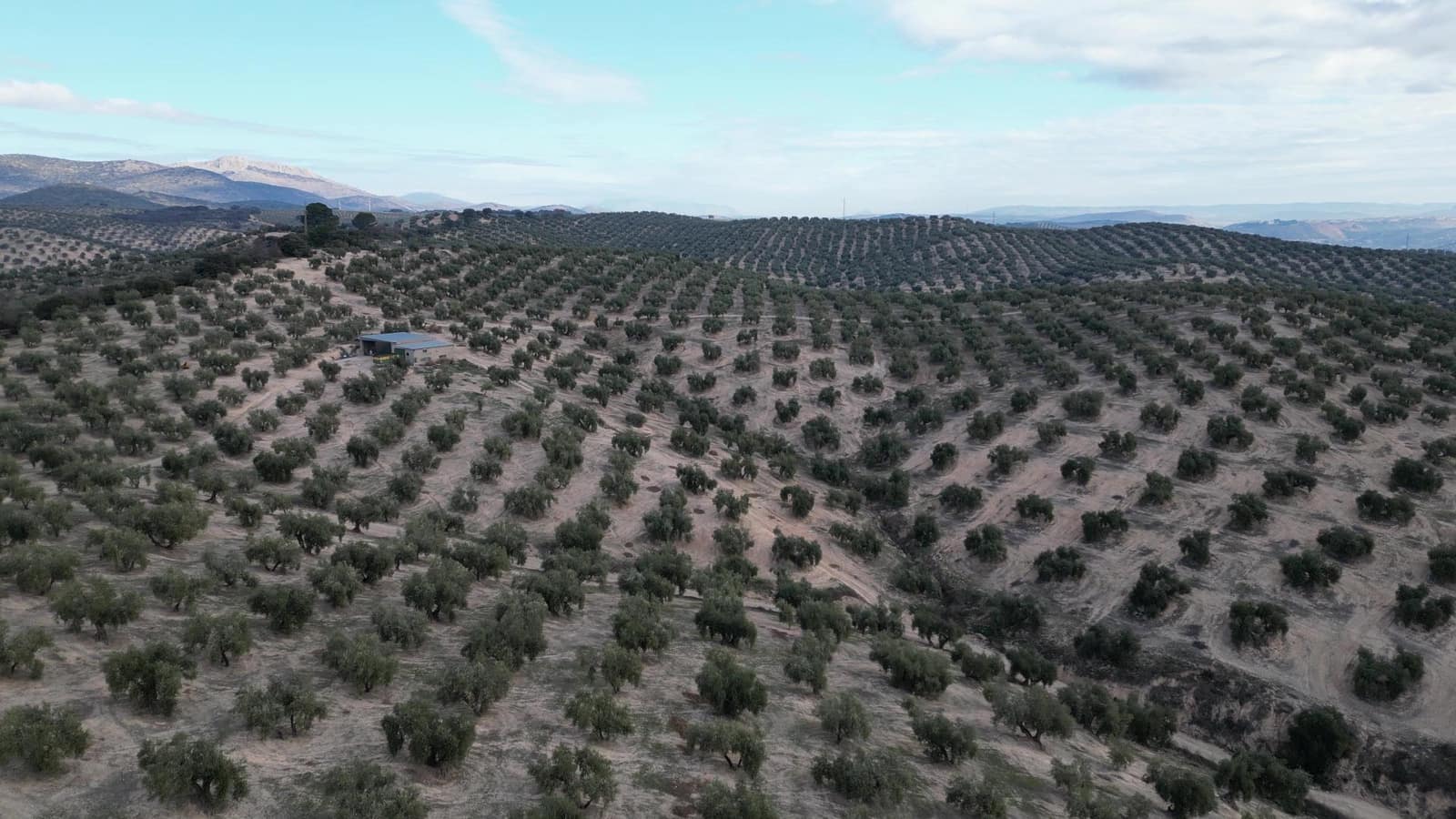 Undeveloped Land for sale in Iznalloz - € 2,920,000 (Ref: 8696558)