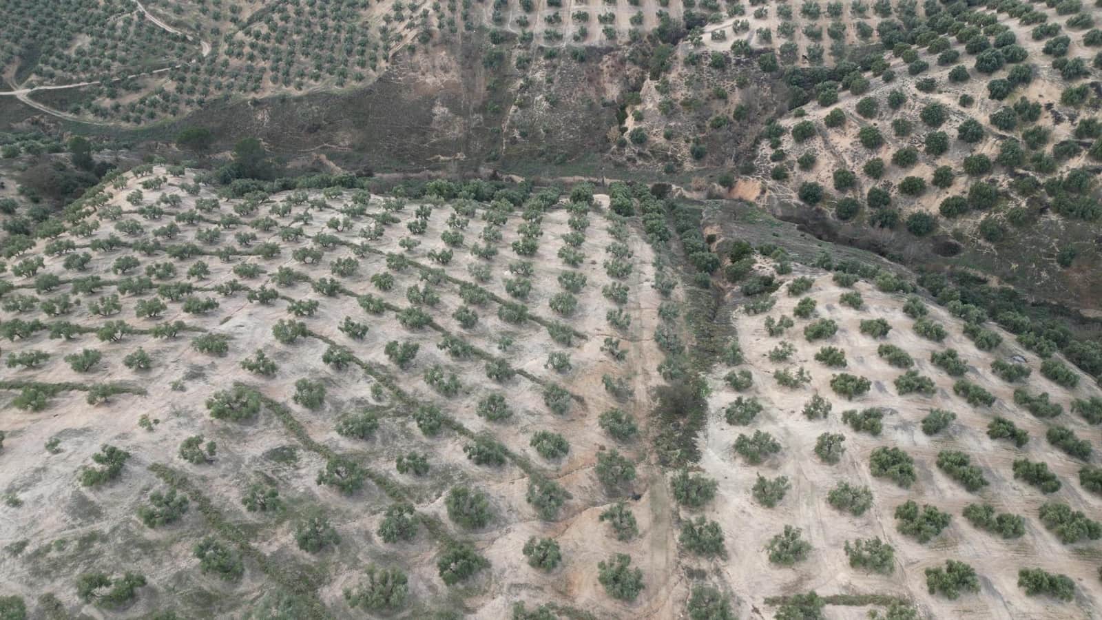 Undeveloped Land for sale in Iznalloz - € 2,920,000 (Ref: 8696558)