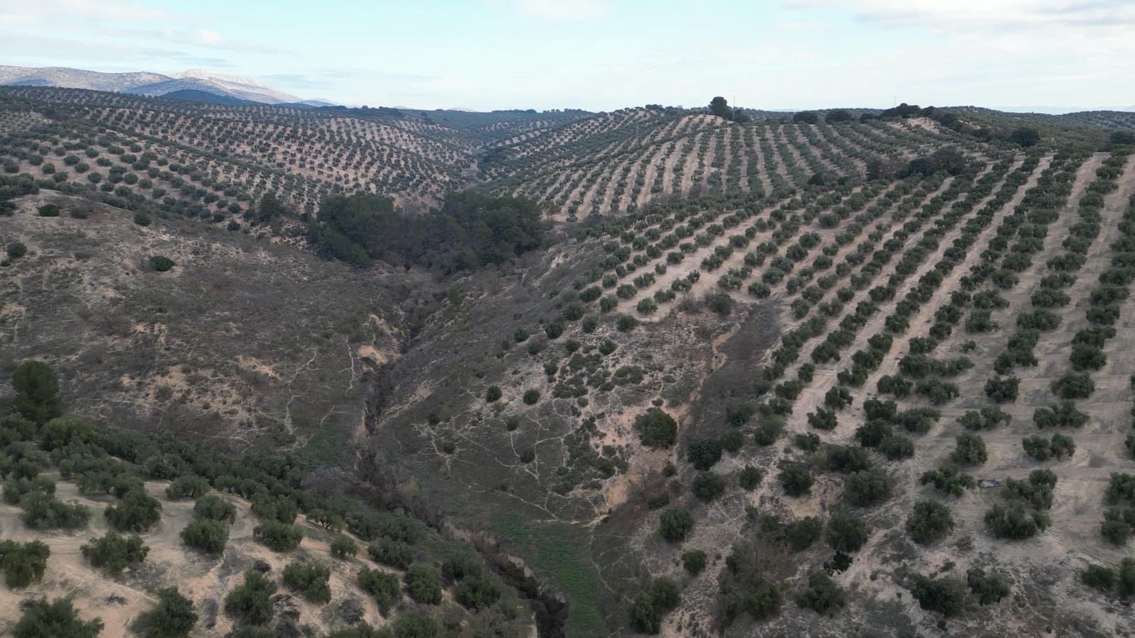 Undeveloped Land for sale in Iznalloz - € 2,920,000 (Ref: 8696558)