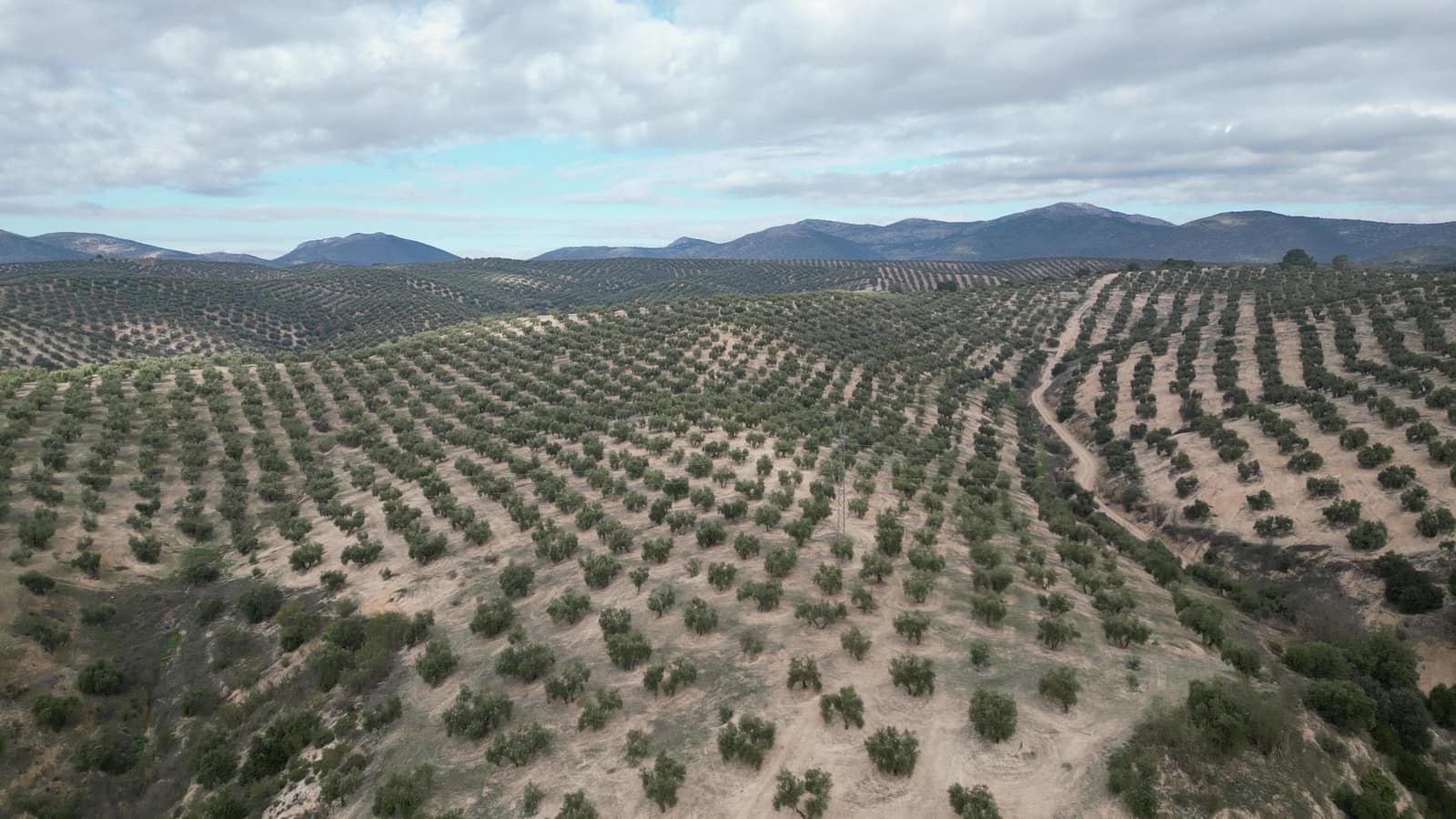 Undeveloped Land for sale in Iznalloz - € 2,920,000 (Ref: 8696558)