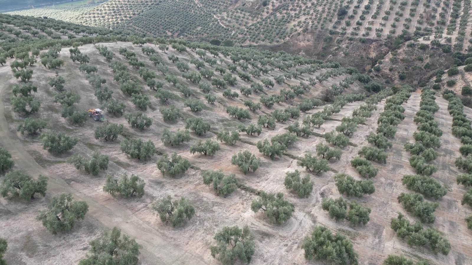 Undeveloped Land for sale in Iznalloz - € 2,920,000 (Ref: 8696558)