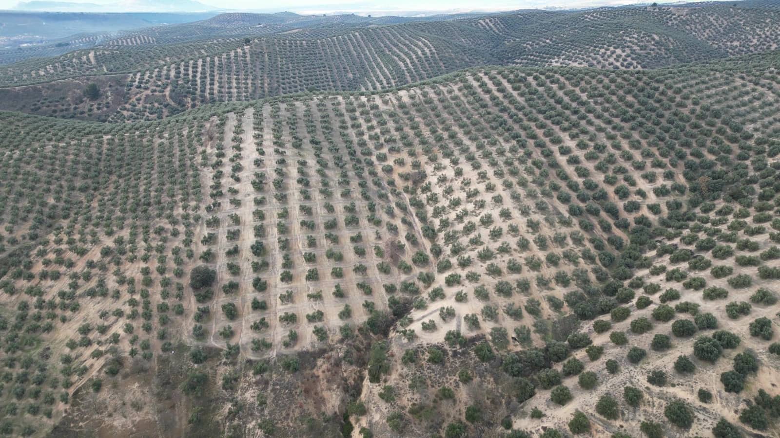 Undeveloped Land for sale in Iznalloz - € 2,920,000 (Ref: 8696558)