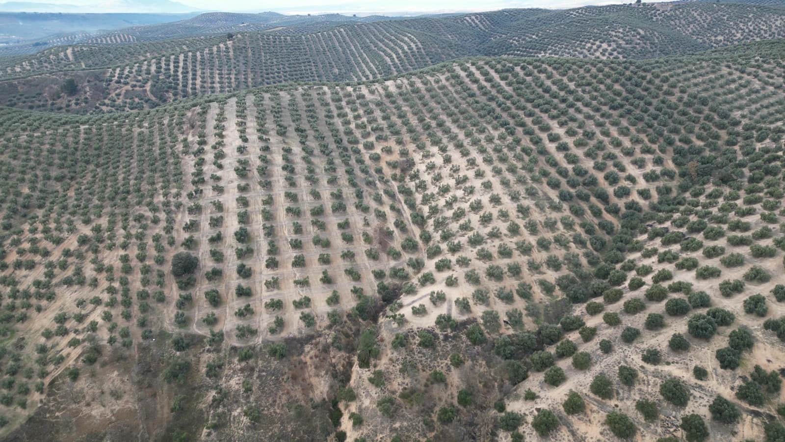 Undeveloped Land for sale in Iznalloz - € 2,920,000 (Ref: 8696558)