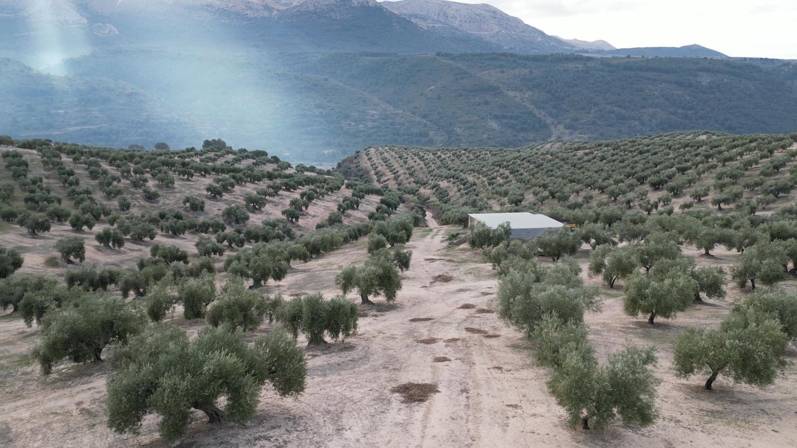 Undeveloped Land for sale in Iznalloz - € 2,920,000 (Ref: 8696558)