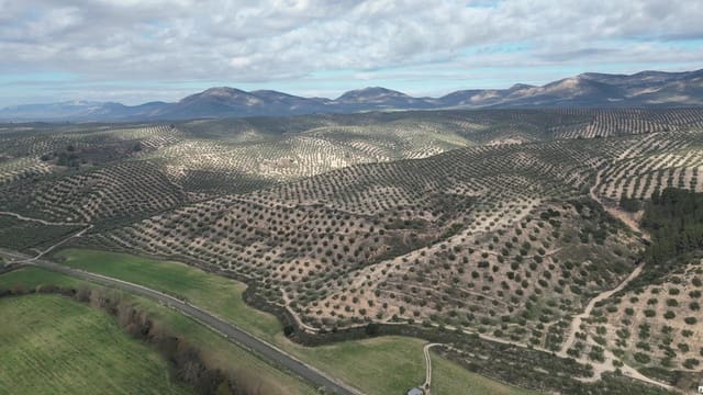 Terreno/Finca Rústica en Iznalloz en venta - 2.920.000 € (Ref: 8696558)