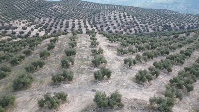 Terreno/Finca Rústica en Iznalloz en venta - 2.920.000 € (Ref: 8696558)