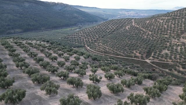 3 soveværelse Finca/Landehus til salg i Iznalloz - € 2.900.000 (Ref: 8696558)