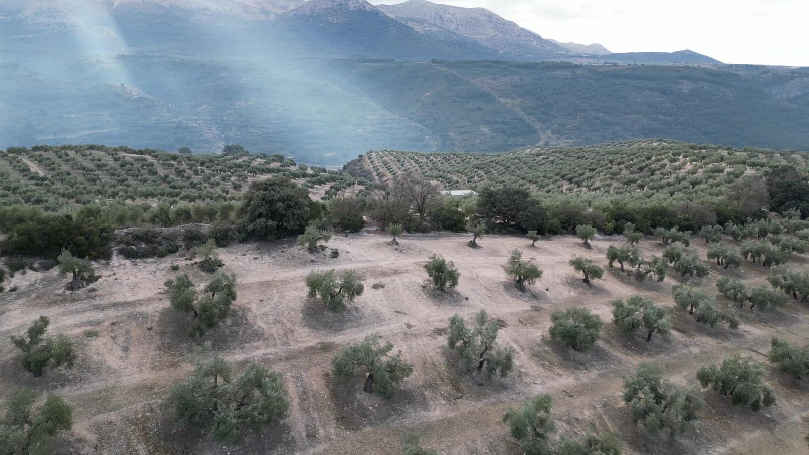 3 soveværelse Finca/Landehus til salg i Iznalloz - € 2.900.000 (Ref: 8696558)