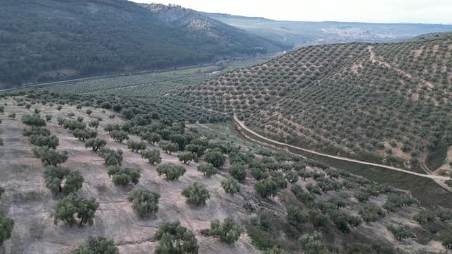 3 bedroom Finca/Country House for sale in Iznalloz - € 2,900,000 (Ref: 8696558)