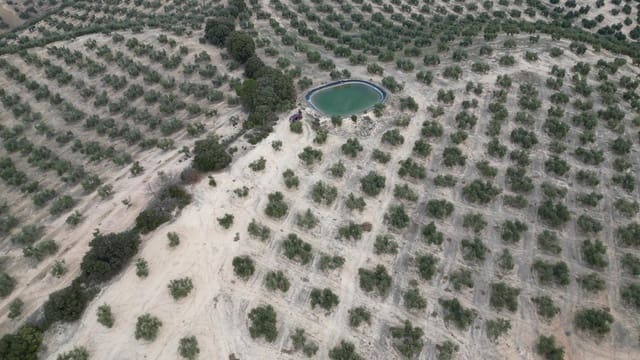 3 bedroom Finca/Country House for sale in Iznalloz - € 2,900,000 (Ref: 8696558)