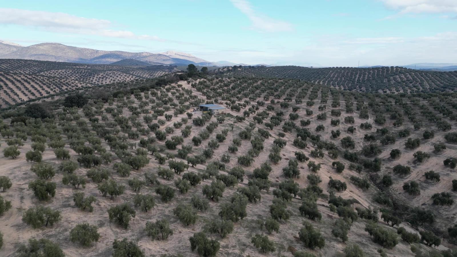 3 bedroom Finca/Country House for sale in Iznalloz - € 2,900,000 (Ref: 8696558)