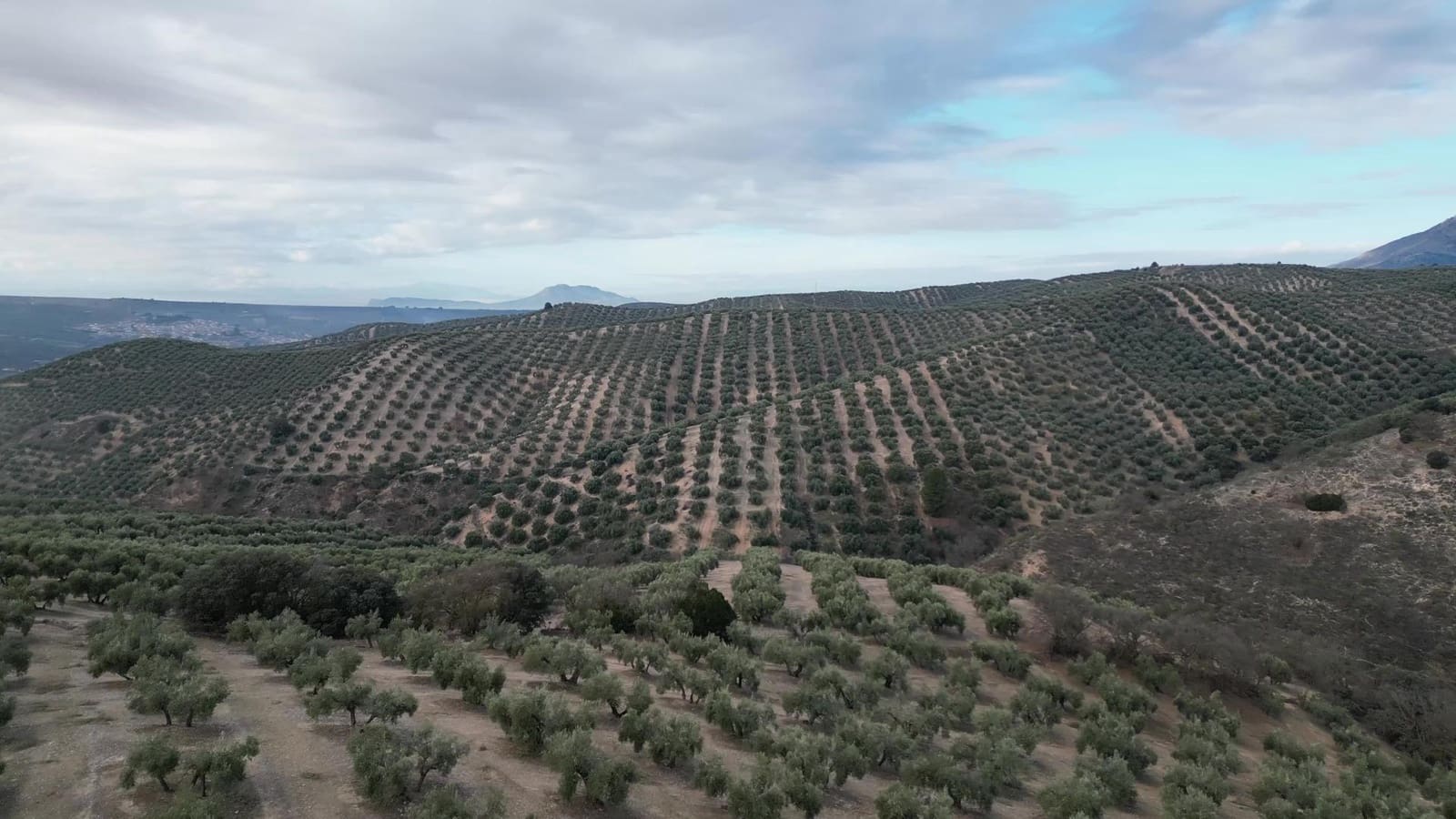 3 bedroom Finca/Country House for sale in Iznalloz - € 2,900,000 (Ref: 8696558)
