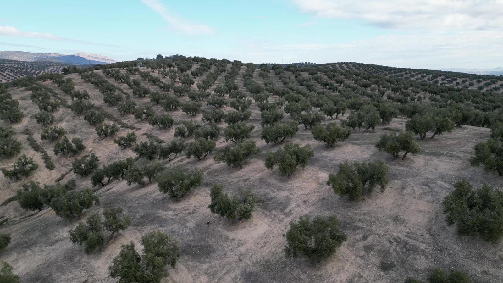 3 bedroom Finca/Country House for sale in Iznalloz - € 2,900,000 (Ref: 8696558)