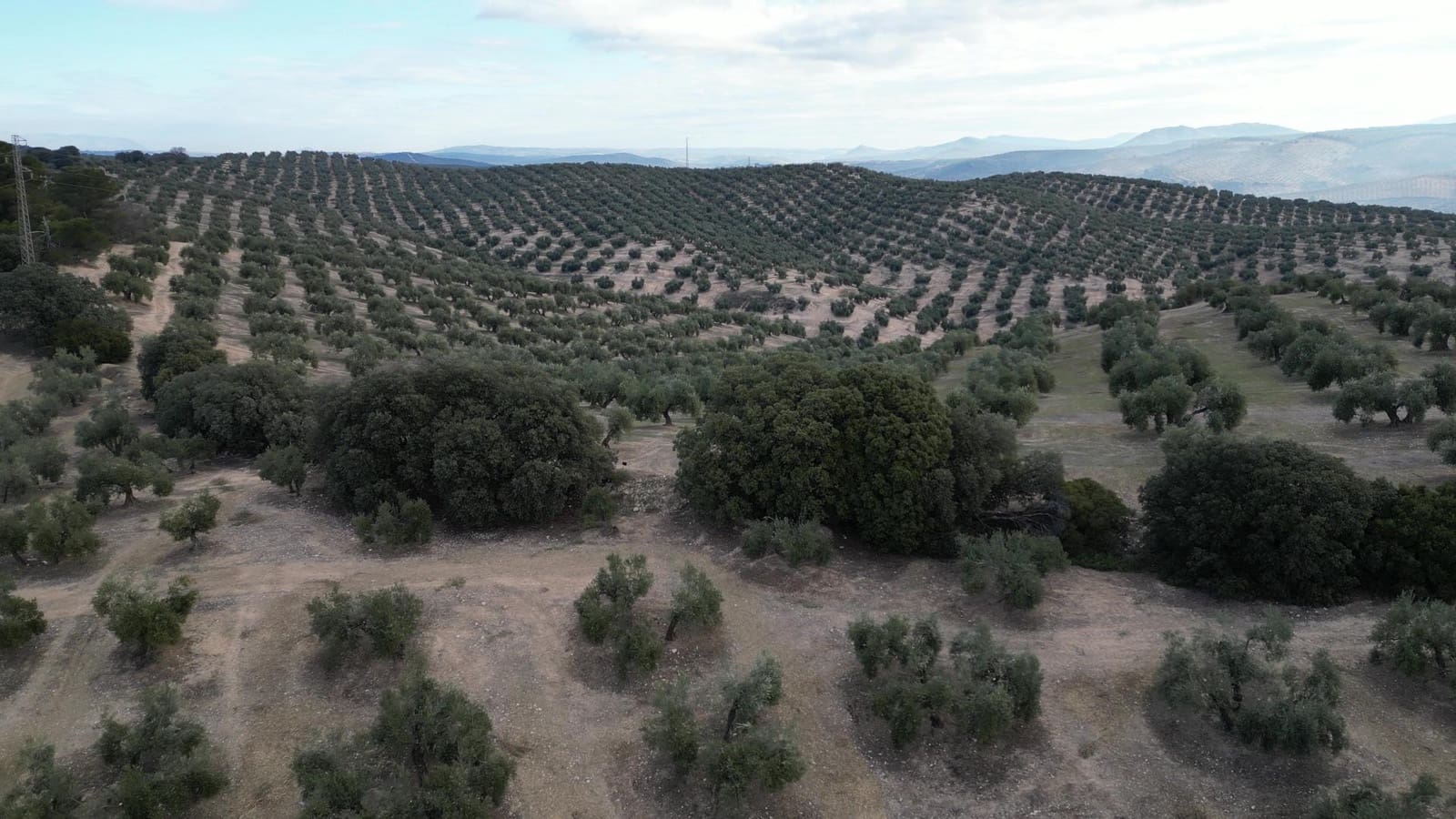 3 bedroom Finca/Country House for sale in Iznalloz - € 2,900,000 (Ref: 8696558)