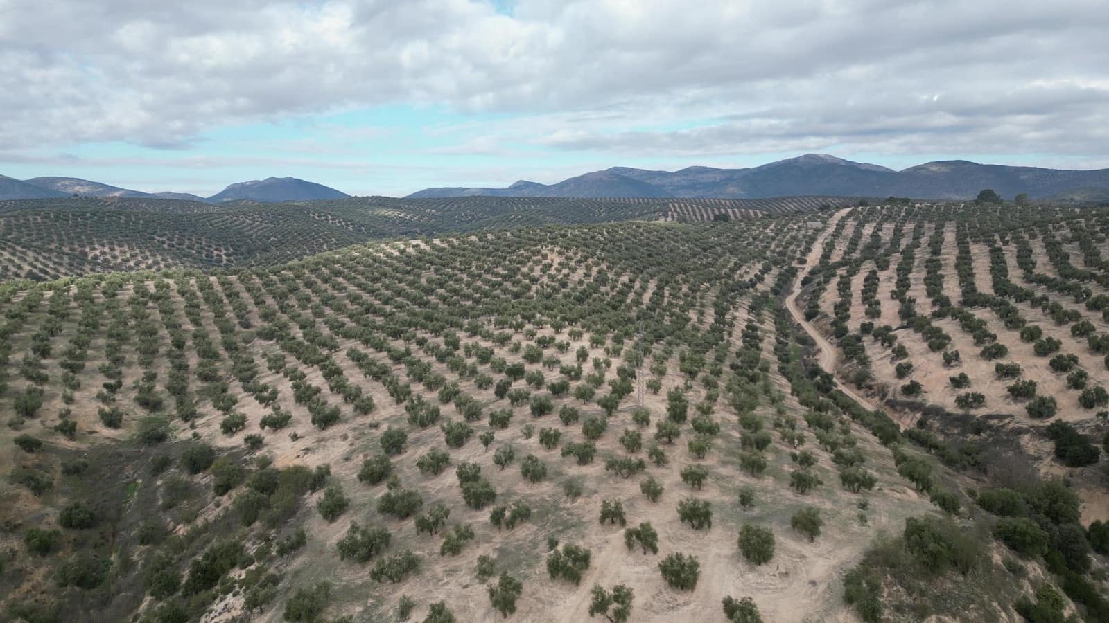 3 bedroom Finca/Country House for sale in Iznalloz - € 2,900,000 (Ref: 8696558)