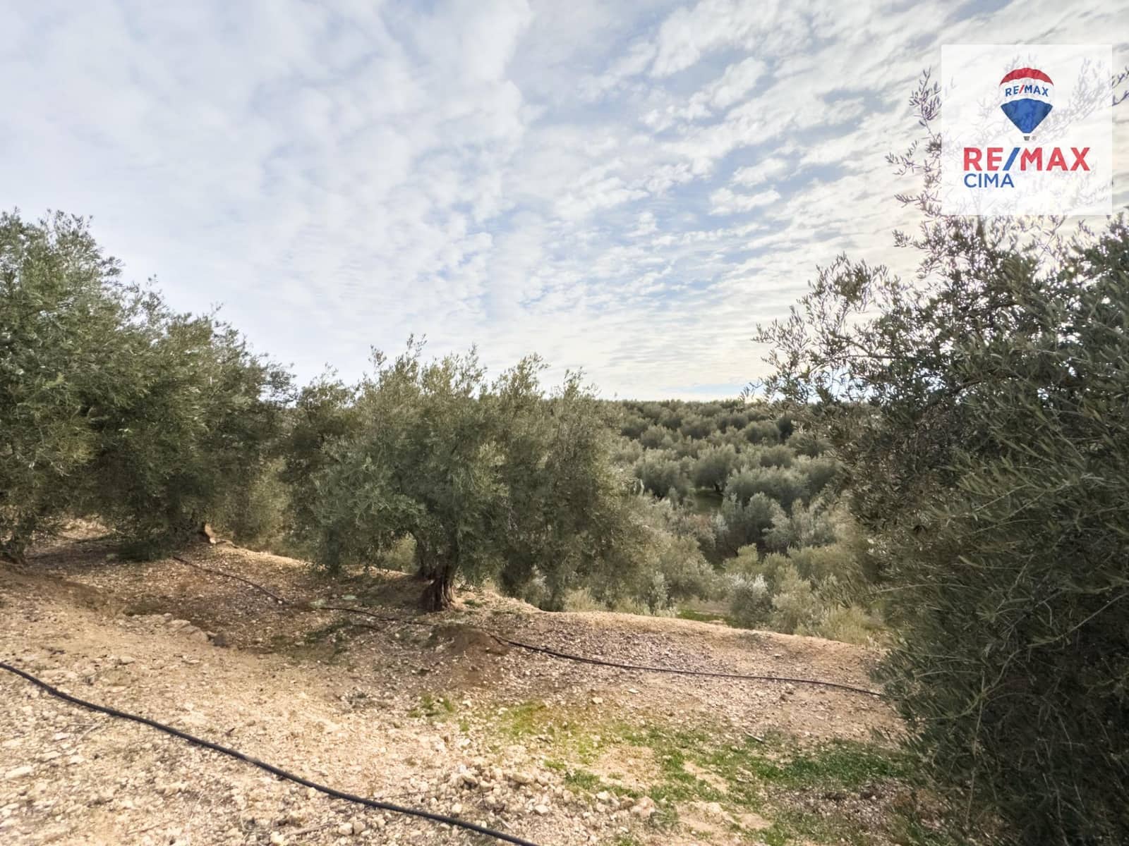 2 makuuhuone Maalaistalo myytävänä paikassa Pozo Alcon mukana uima-altaan 
autotalli - 132 000 € (Ref: 8743662)