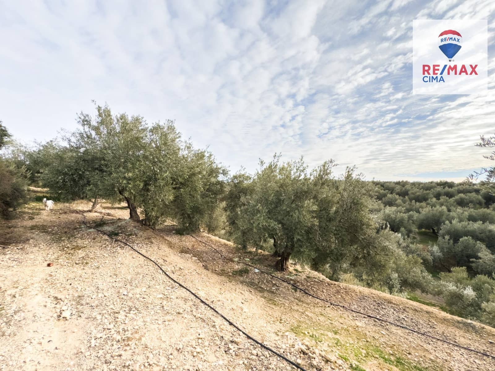 2 makuuhuone Maalaistalo myytävänä paikassa Pozo Alcon mukana uima-altaan 
autotalli - 132 000 € (Ref: 8743662)