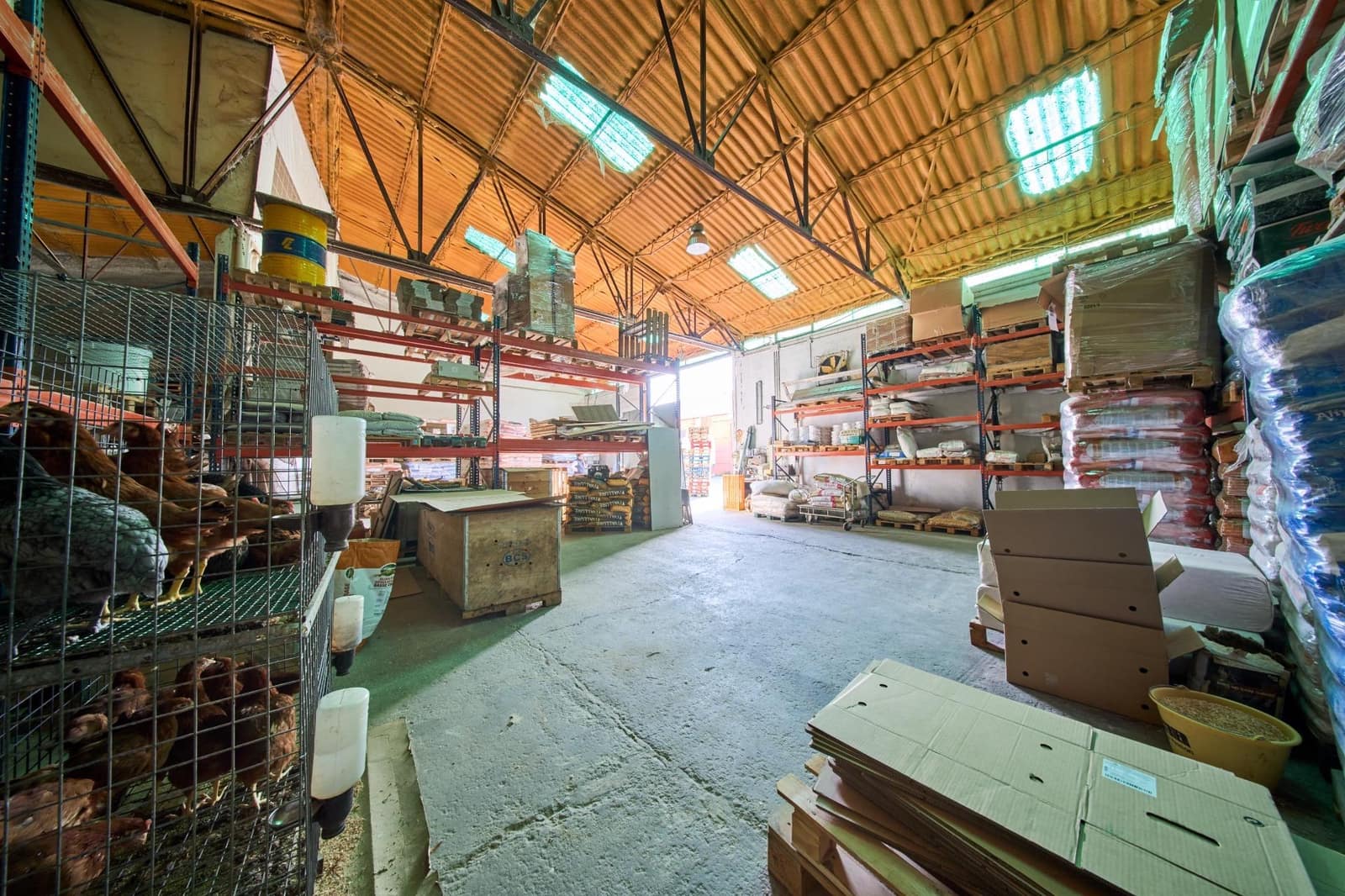 Yritys myytävänä paikassa Atarfe - 319 000 € (Ref: 8859636)