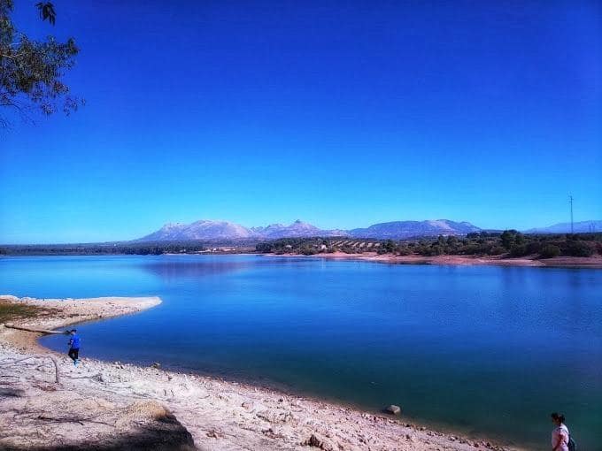 Azienda in vendita in Atarfe con garage - 975.000 € (Rif: 8860793)