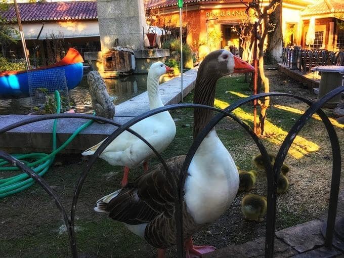 Bedrift til salgs i Atarfe med garasje - € 895 000 (Ref: 8860793)