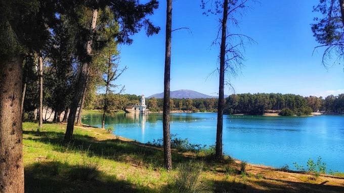 Bedrift til salgs i Atarfe med garasje - € 895 000 (Ref: 8860793)